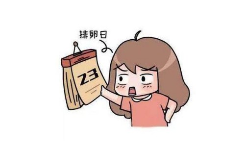 性激素六项正常范围：最全解读性别类激素